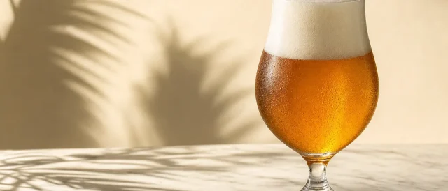 Qual a melhor cerveja sem álcool? Guia comparativo por estilo, teor e processo